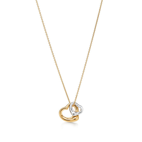Eternal Embrace Dual-Tone Necklace