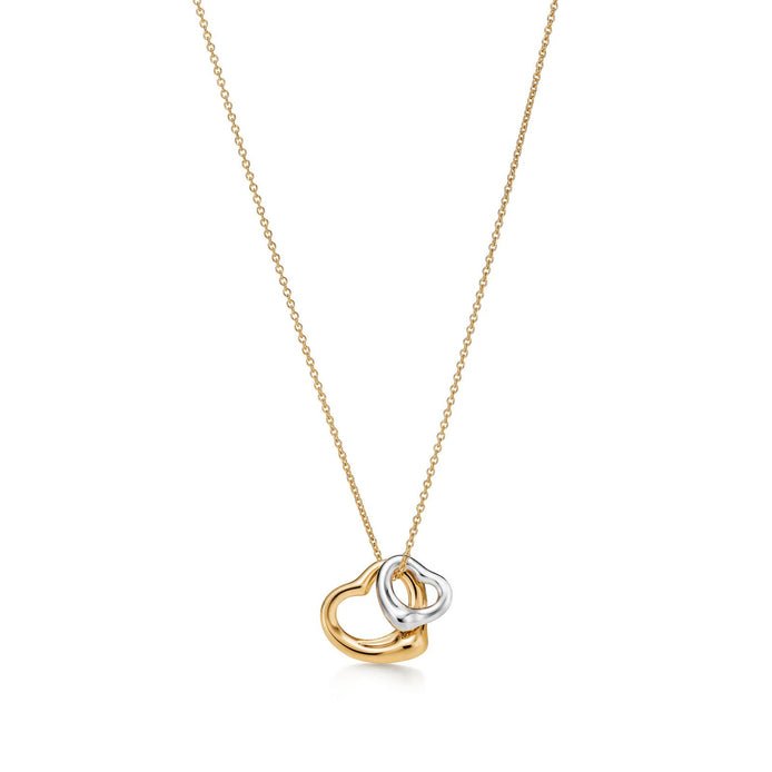 Eternal Embrace Dual-Tone Necklace