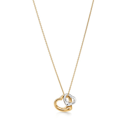 Eternal Embrace Dual-Tone Necklace